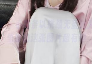 小众视觉 – 小薯条以挑战无圣光为乐，裤里丝的这张图片超有趣