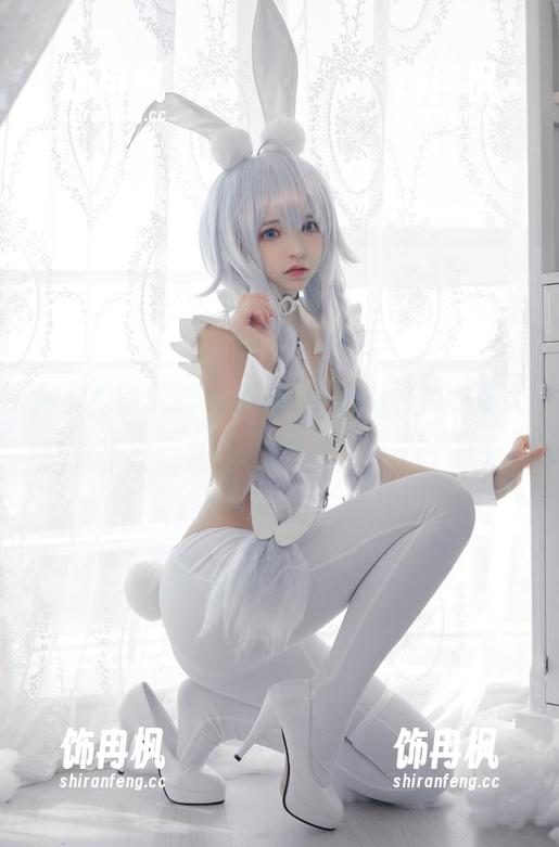 网盘里的疯猫ss和猫：一场奇特的喵星人冒险