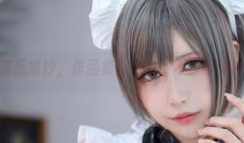 黑白御猫玩婚纱，作品集里勾引了不少小猫咪的注意